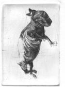 Kr�l�ci (blundering)