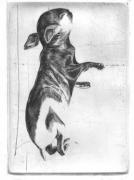 Kr�l�ci (dreaming)