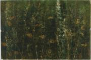 Kop�ivy