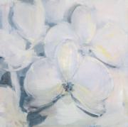 Z cyklu "Orchidea"