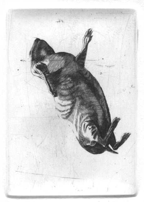 Kr�l�ci (falling)