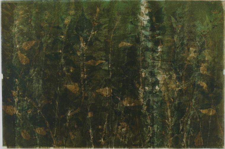 Kop�ivy