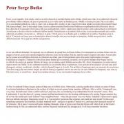 Text z katalogu � Peter Sarge Butko