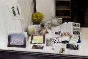 Foto z galerie