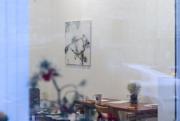 Foto z galerie