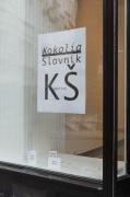 Fotografie z v�stavy