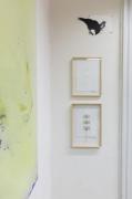 Fotgrafie z expozice