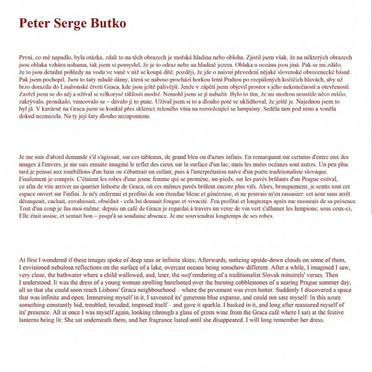 Text z katalogu � Peter Sarge Butko