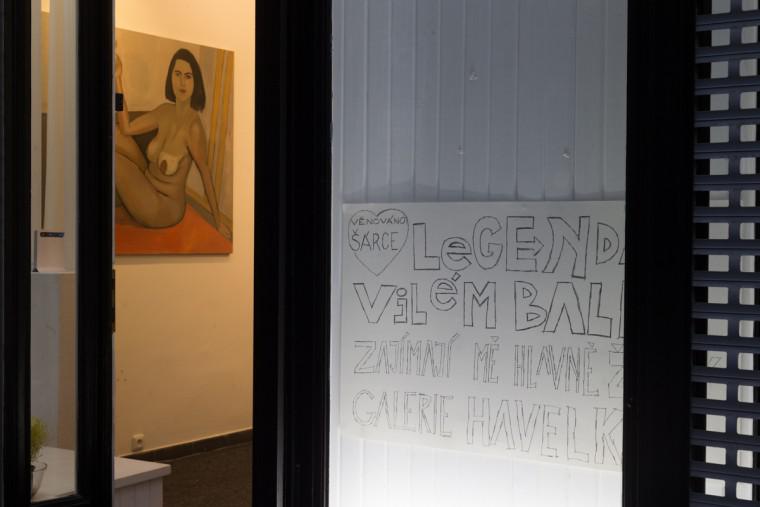 Foto z galerie