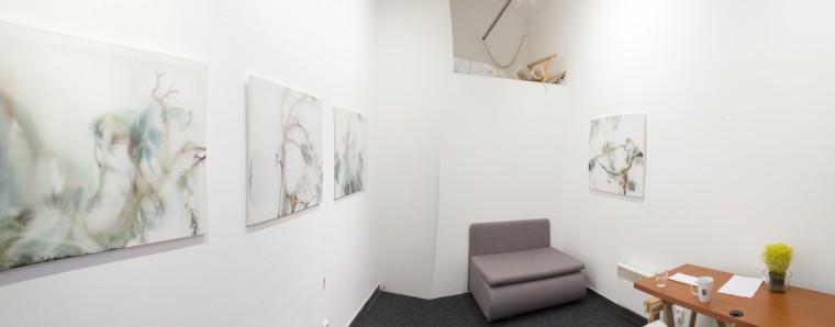 Foto z galerie