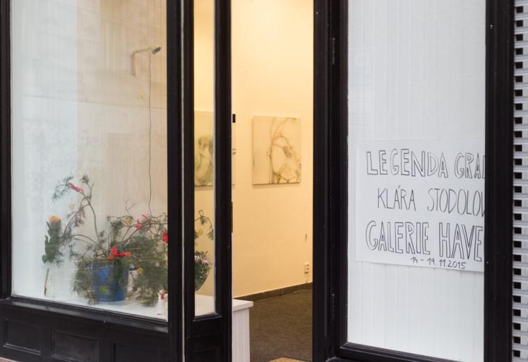 Foto z galerie