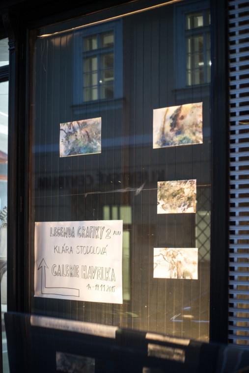 Foto z galerie