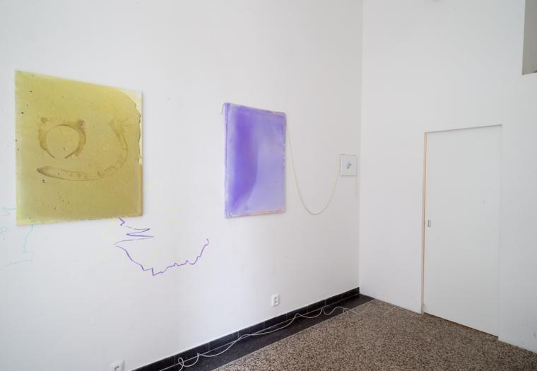 Foto z galerie