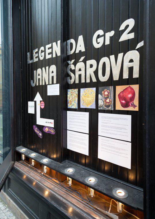 Fotografie z v�stavy