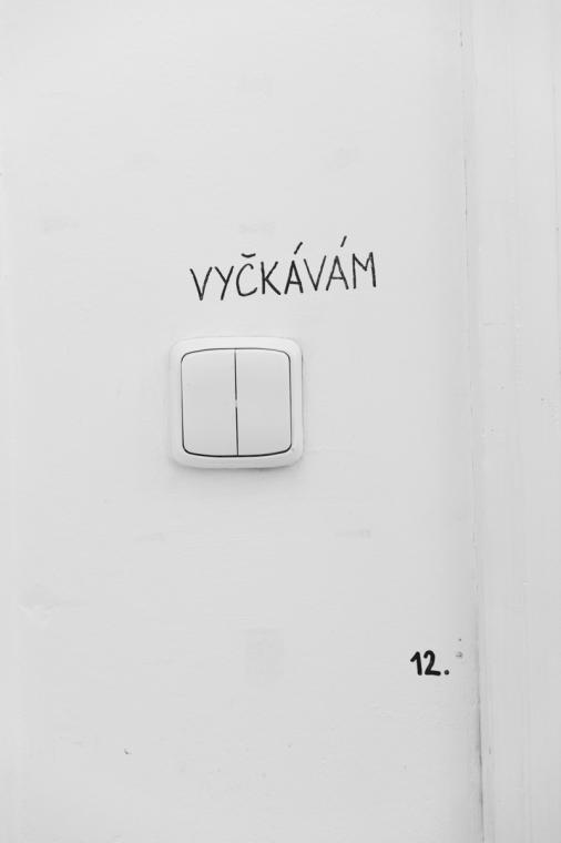 Fotografie z v�stavy