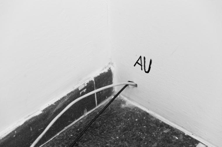 Fotografie z v�stavy