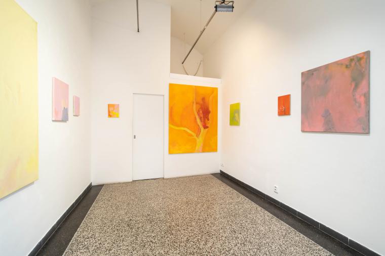 Fotografie z expozice