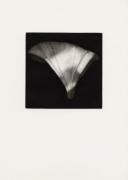From the Night Garden cycle - Bindweed