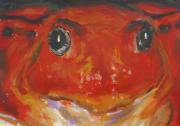 Red Frog