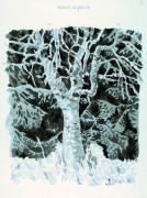 Kvilda � Tree