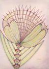 Anna Zem�nkov�
