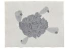 Jan H�sek: Turtlesphere