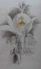 THE LEGEND LIBU�E VENDLOV�