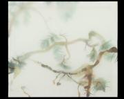 Photo from exhibition