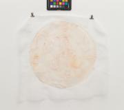 Photo from exhibition