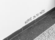 Photo from exhibition