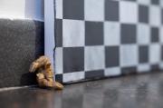 Photos from exhibition