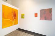 Photos from exhibition