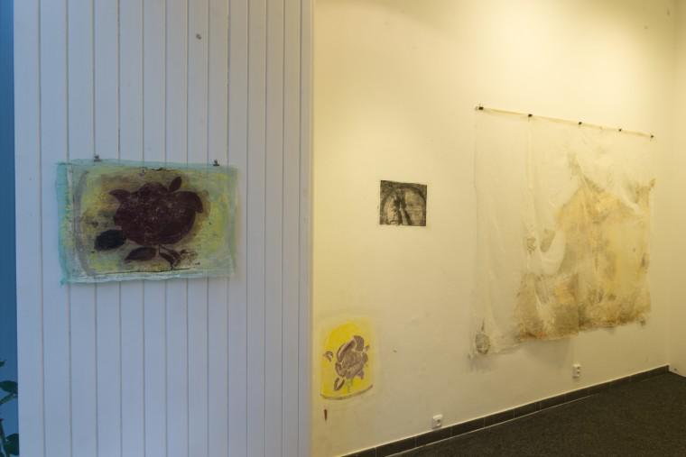 Photo from exhibition
