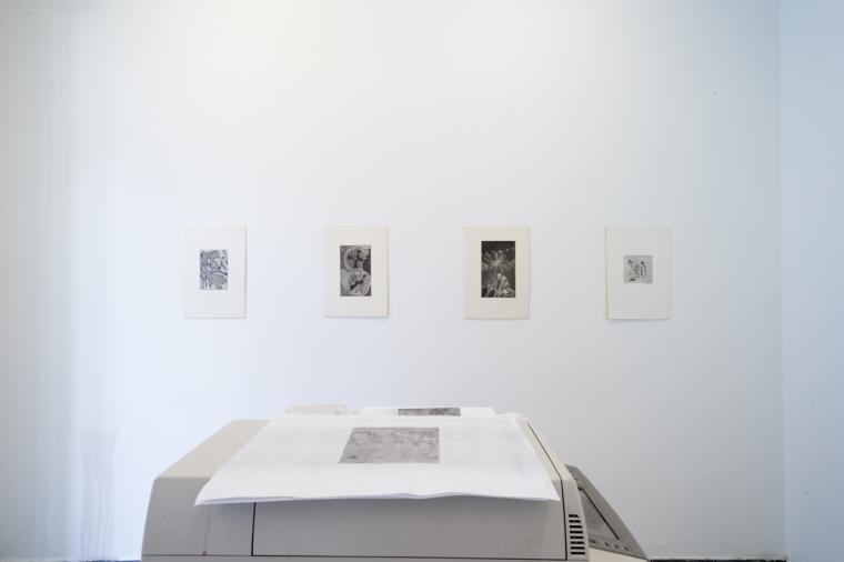 Photo from exhibition