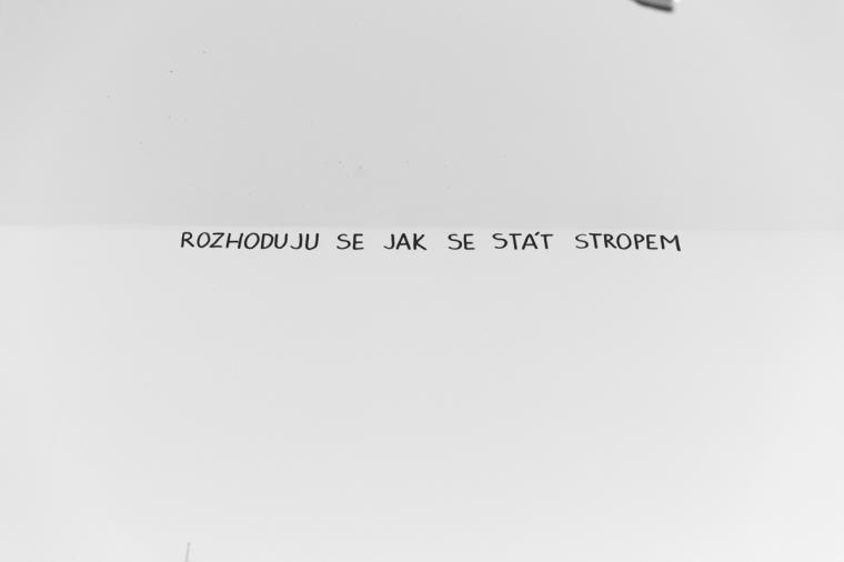 Photo from exhibition