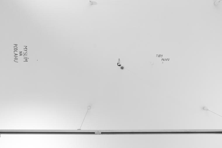 Photo from exhibition