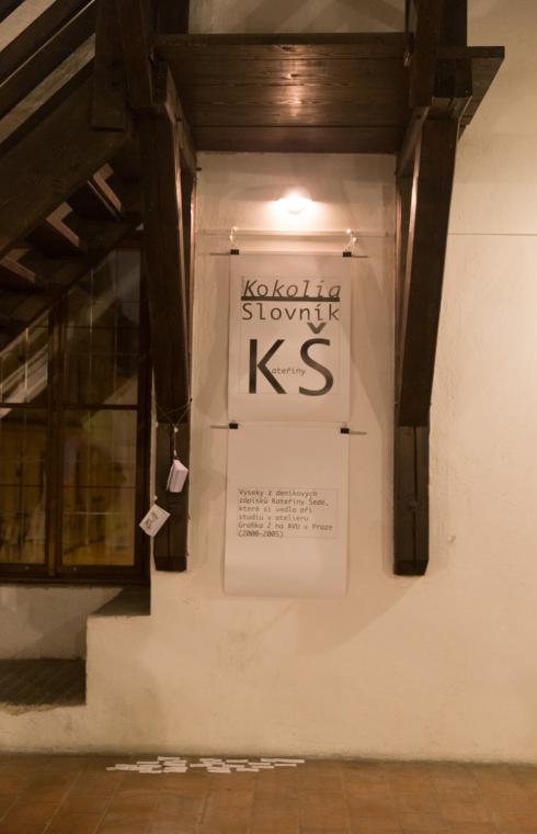 Photo from opening