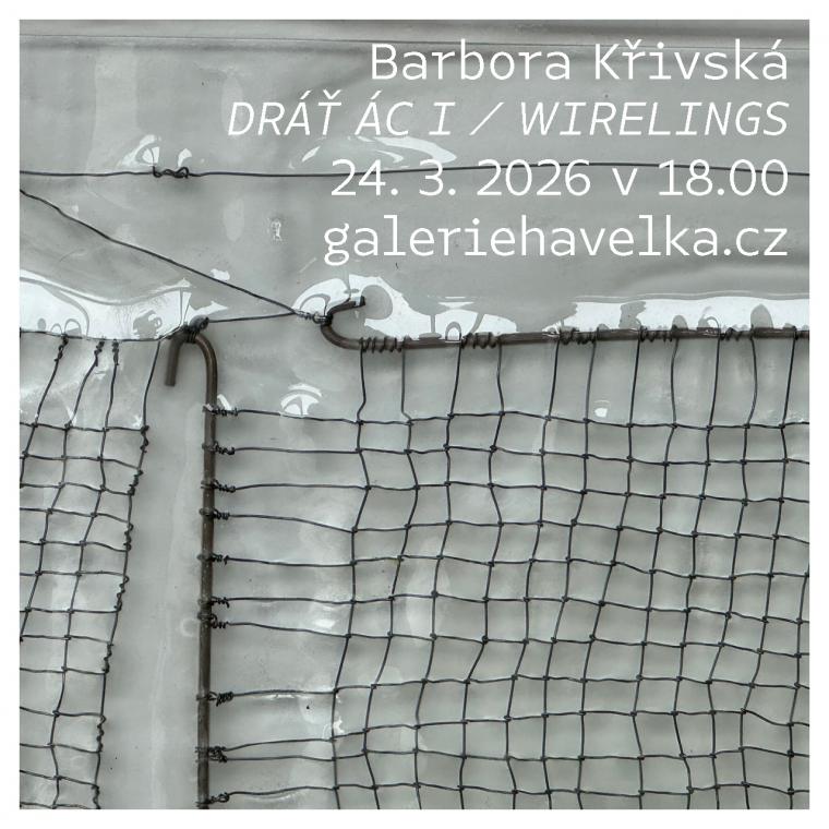 Barbora K�ivsk�: Wirelings
