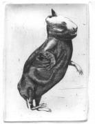 Kr�l�ci (posing)