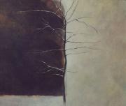 Dividing Line - A Young Tree