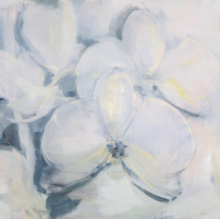 From the Orchids cycle