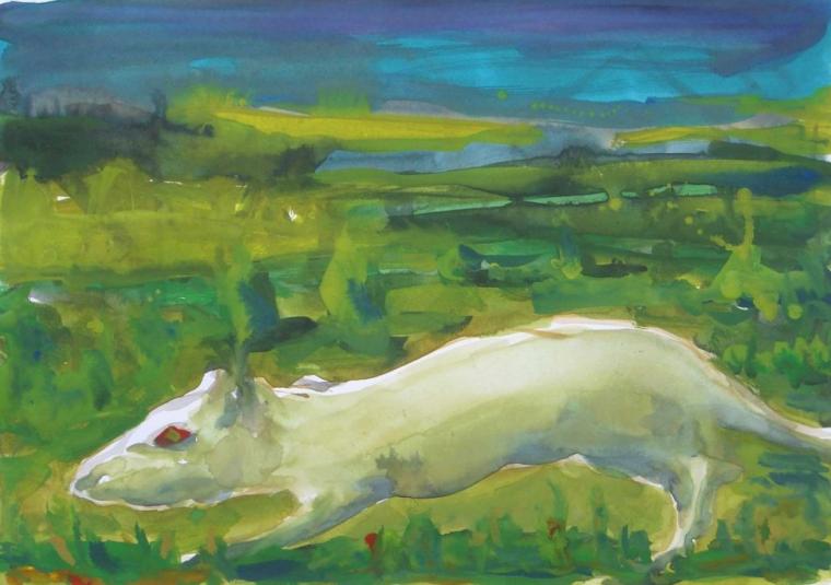 White Rat