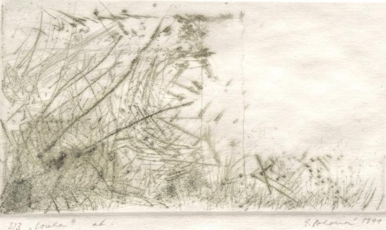 The Meadow